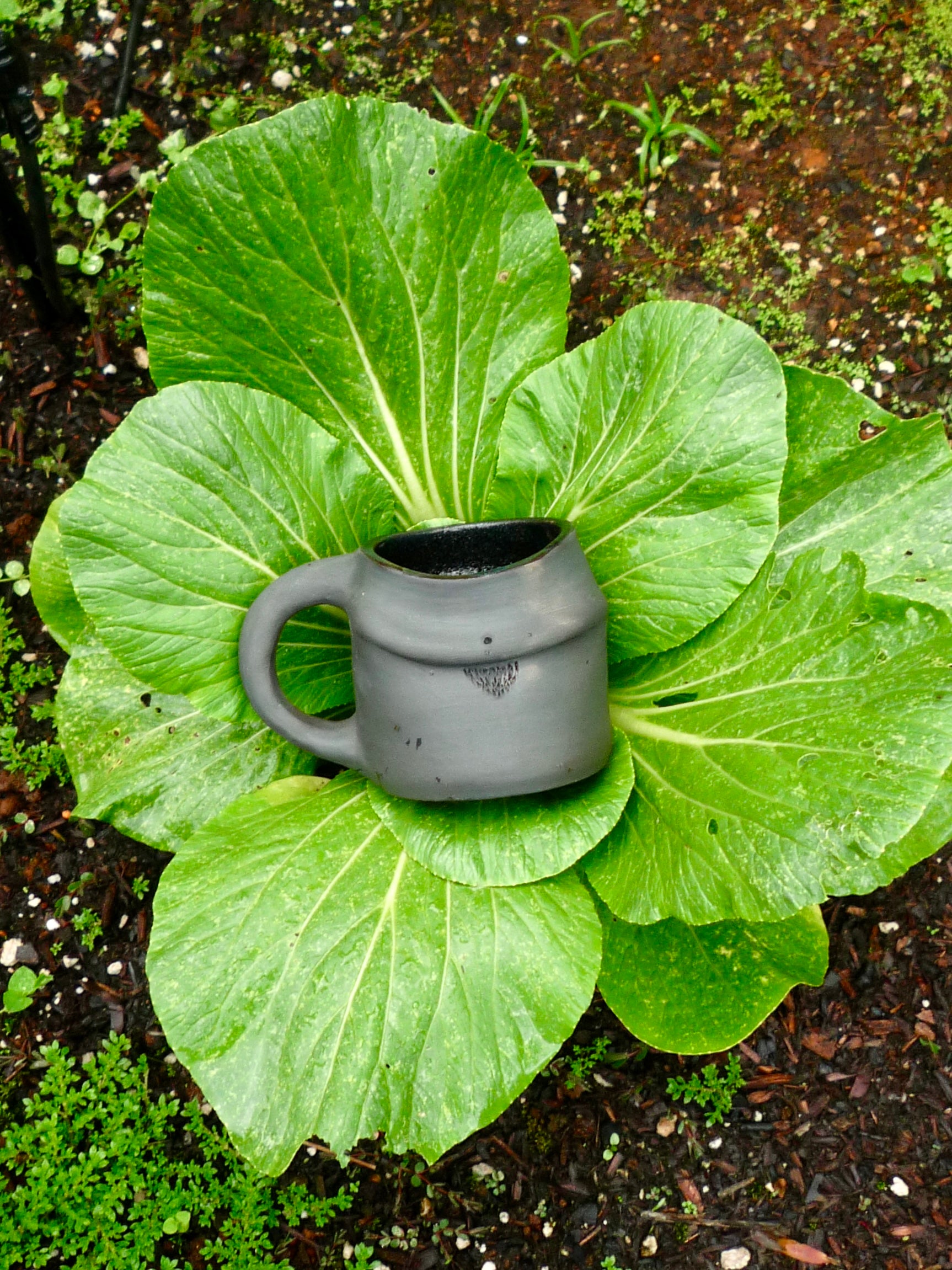 Claymilk