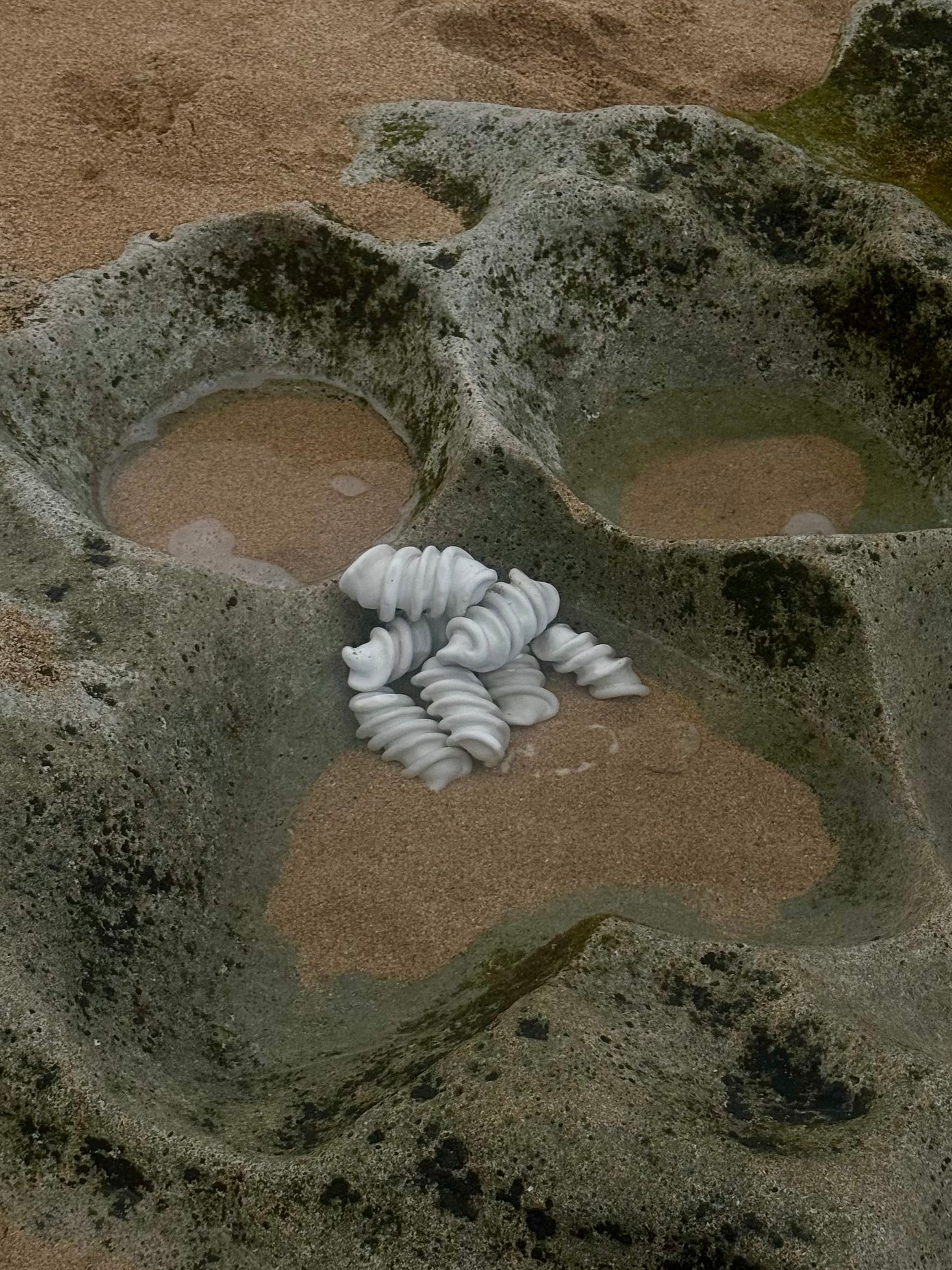 Mermaid Egg