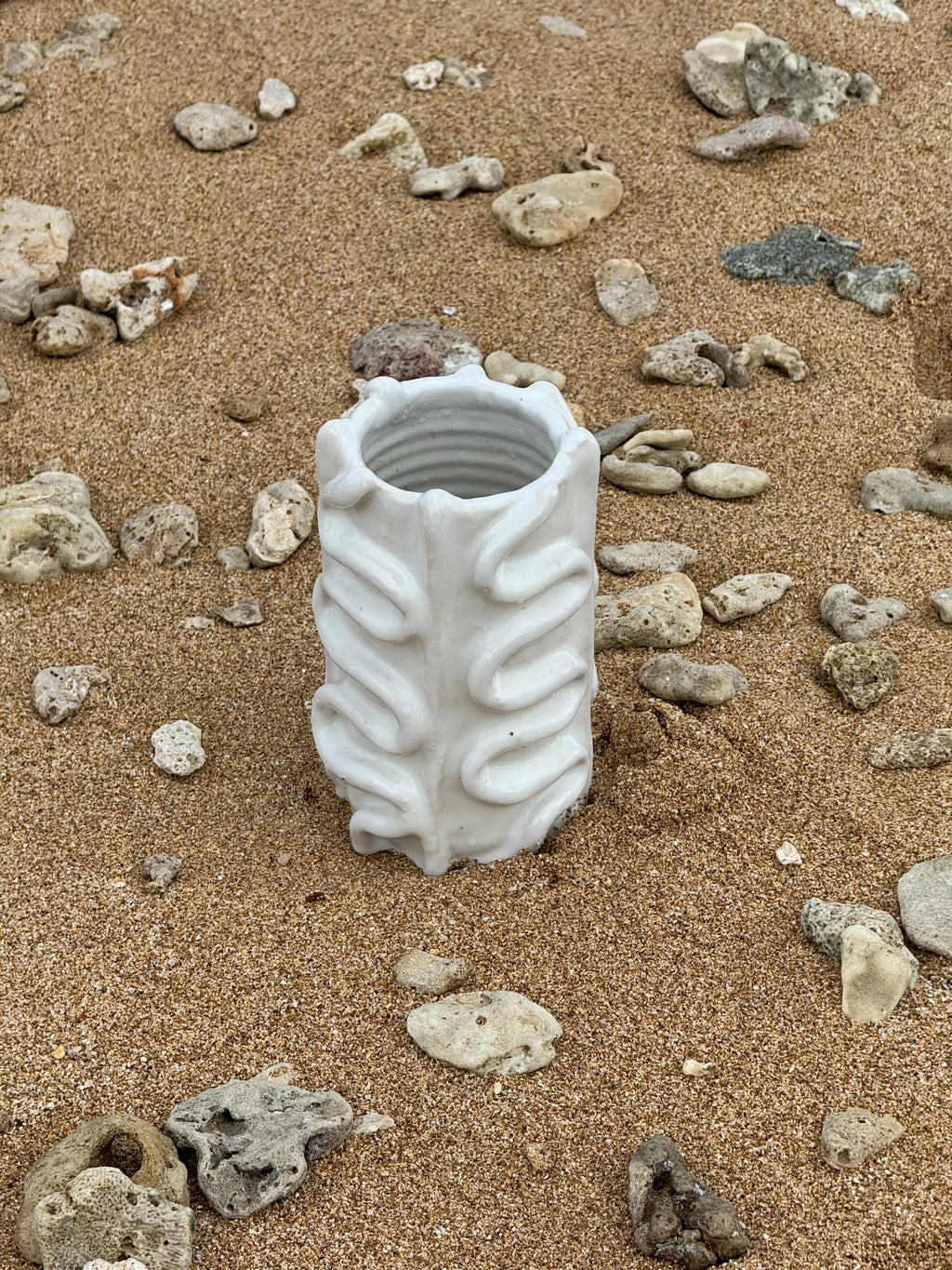 Fossil Prayer